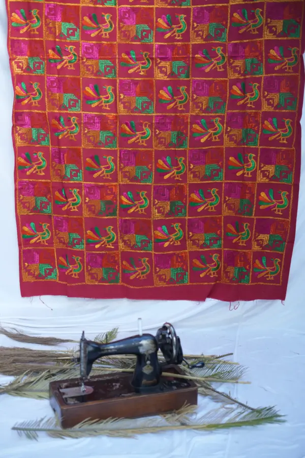 The Morni Bagh from Nani